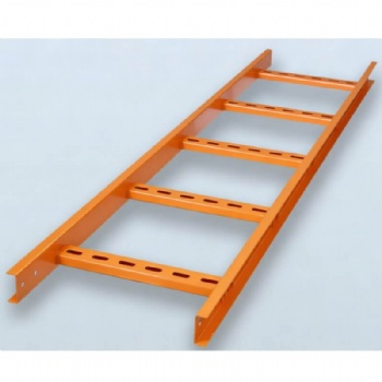 Powder Coated Spray Paint Cable Ladder