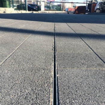 Stainless Steel Linear Slot Drainage Cover