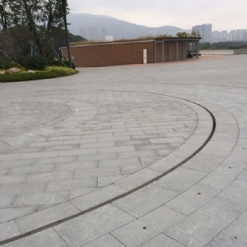 Curved Slot Drain Cover