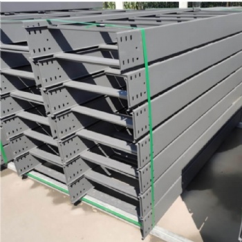 Powder Coated Ladder Cable Tray | Anti-Rust Color Spray Paint Custom Cable Ladder for Cleanroom & Commercial Projects