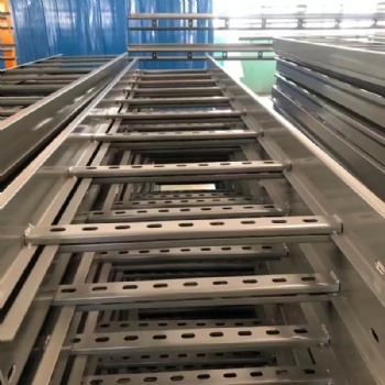 Hot Dip Galvanized Ladder Cable Tray | Heavy-Duty Outdoor HDG Cable Ladder for Industrial Infrastructure